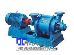 SZ型水环式真空泵