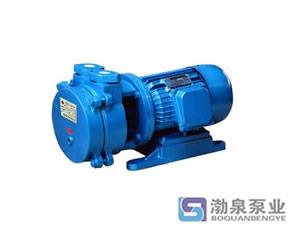 SK系列直联水环式真空泵