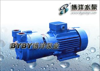 2BV水环式真空泵