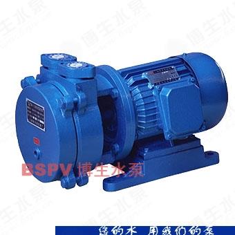SK型直联式水环式真空泵