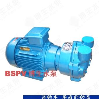 SKA系列水环式真空泵