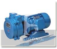 SK系列直联水环式真空泵