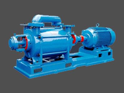 2SK水环式真空泵