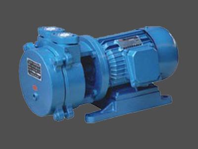 SK直联水环式真空泵