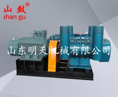 高负压罗茨真空泵