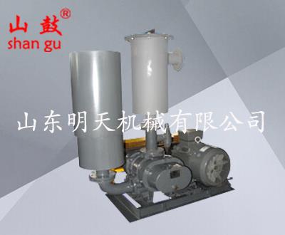 负压罗茨真空泵