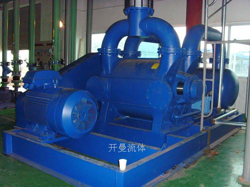 GD-NASH 电力行业用液环真空泵