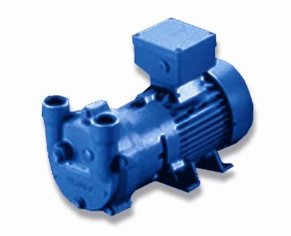 2BV2 NASH液环真空泵