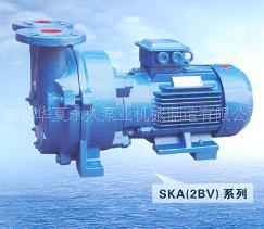 SKA(2BV)系列水环式真空泵