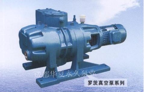 罗茨真空泵系列