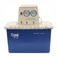 SHB-IV双A循环水式多用真空泵