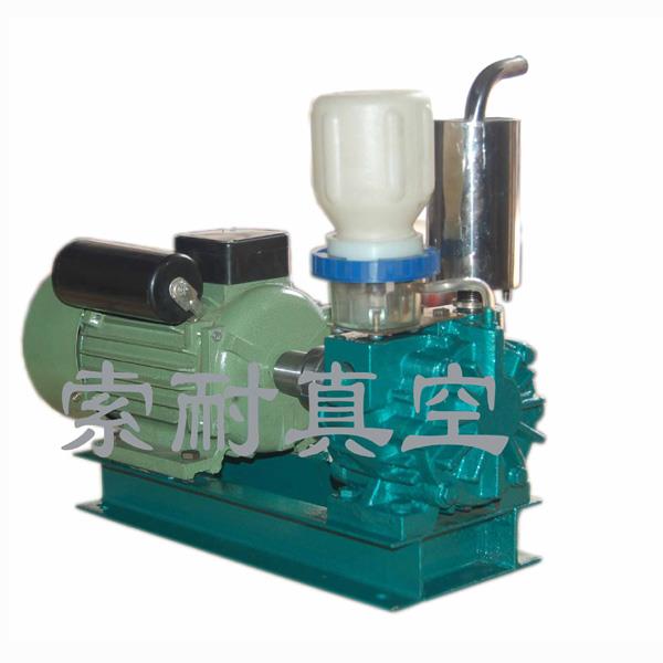 SN旋片式真空泵