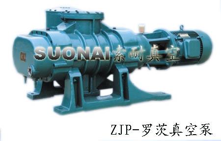 ZJP罗茨真空泵