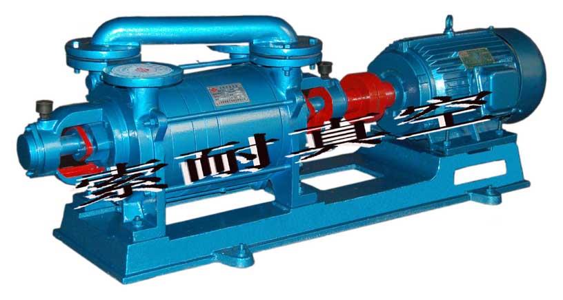 2SK系列水环式真空泵