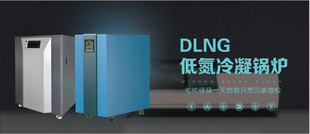 DLNG低氮冷凝锅炉
