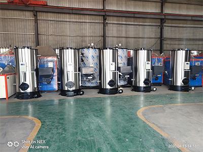 立式生物质热水锅炉