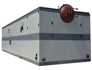 生物质燃料蒸汽锅炉