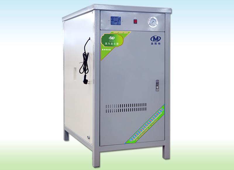 带压力蒸汽发生器