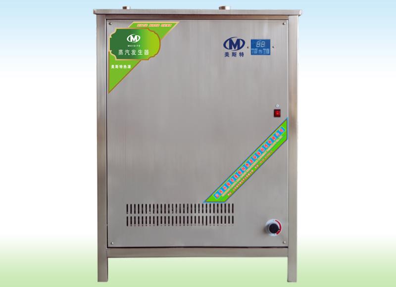 蒸汽发生器MST-100