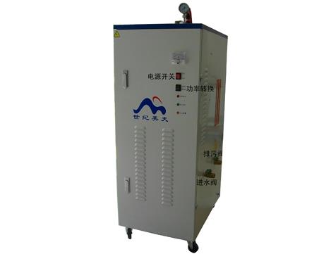 小型电蒸汽锅炉LDR系列