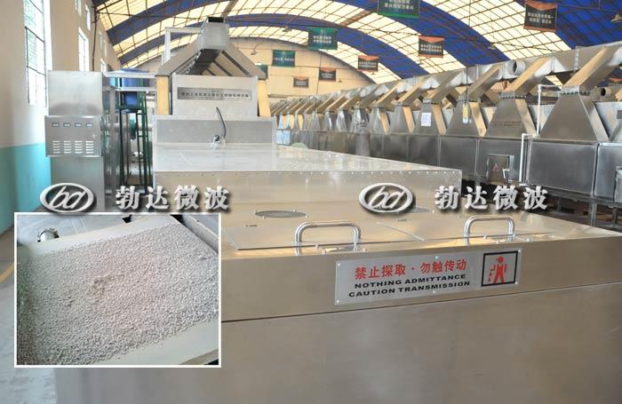 橡胶助剂微波干燥设备