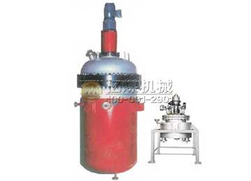 磁力搅拌反应釜