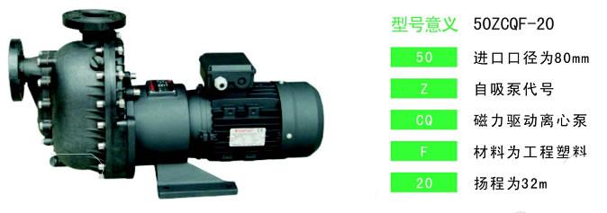 ZCQF工程自吸式磁力泵