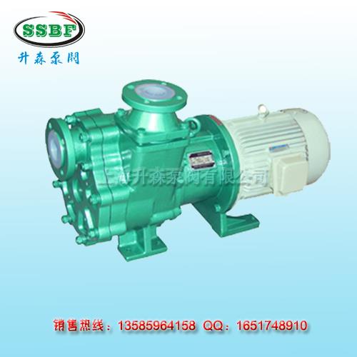 ZMD氟塑料自吸磁力泵