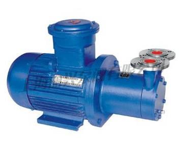 CWB型磁力驱动旋涡泵