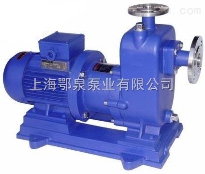 自吸式磁力驱动泵