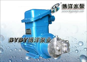 不锈钢磁力齿轮泵