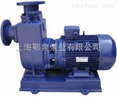 直联式自吸离心泵