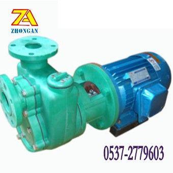 FPZ 型增强聚丙烯自吸泵