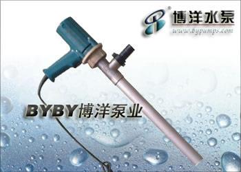 不锈钢电动油桶泵