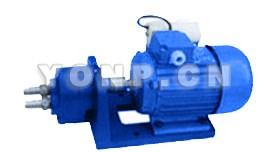 WCB-S微型齿轮式输油泵