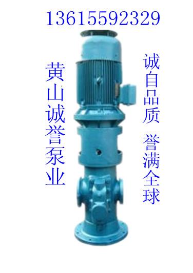 HSNS440-46三螺杆泵