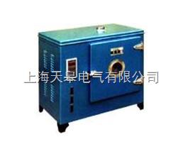 电热恒温鼓风干燥箱