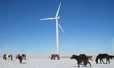 W1250系列风力发电机