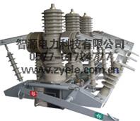 ZYKCQ-50S手动高压双电源切换装置