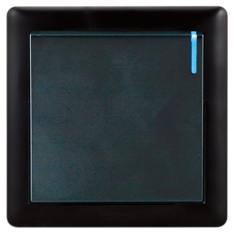 一位单极开关（黑色）