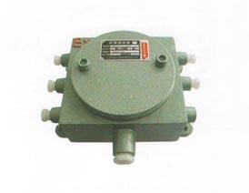 BXJ52型隔爆型防爆接线箱