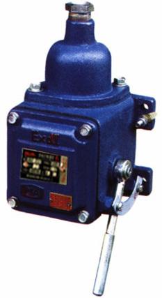 63S1 矿用隔爆型打点器