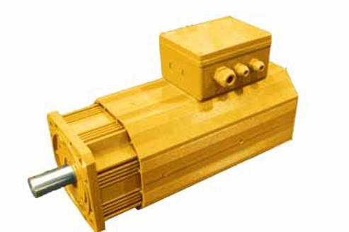 TYS系列永磁同步伺服电动机