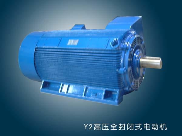 Y2全封闭紧凑型高压三相异步电动机
