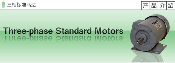 三相标准马达