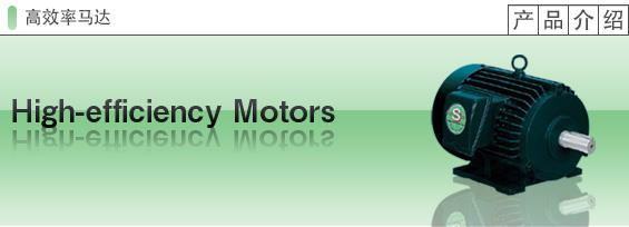 高效率马达
