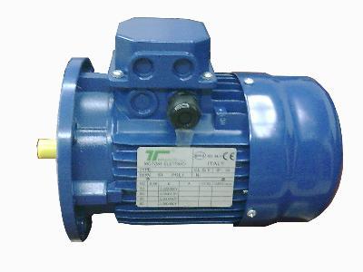 意大利TEMPORITI刹车电机