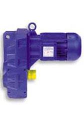 BS 系列蜗轮电动机