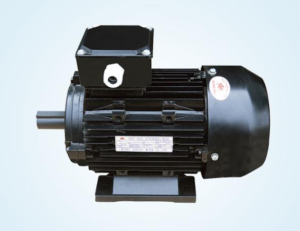 Y2 系列三相异步电动机
