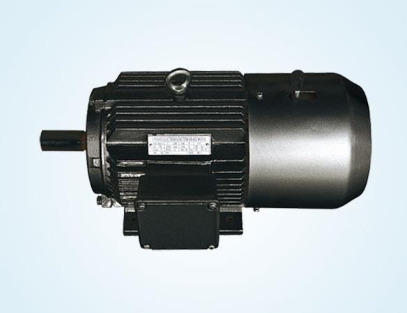 Y2EJ 系列电磁制动三相异步电动机